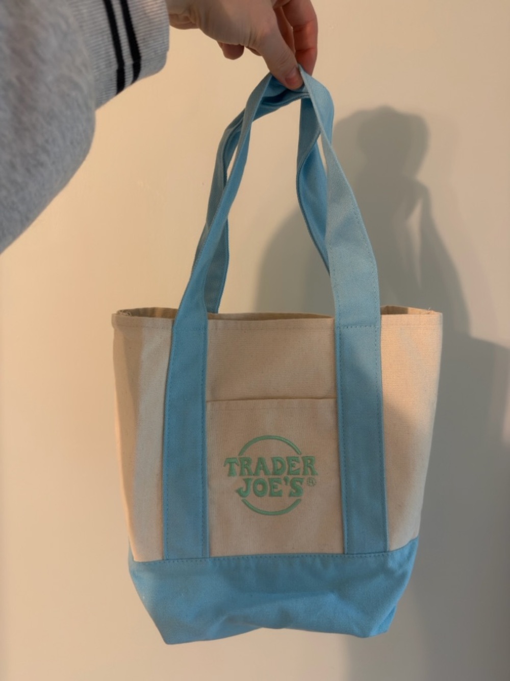 Trader Joe’s Mini Embroidered Canvas Tote